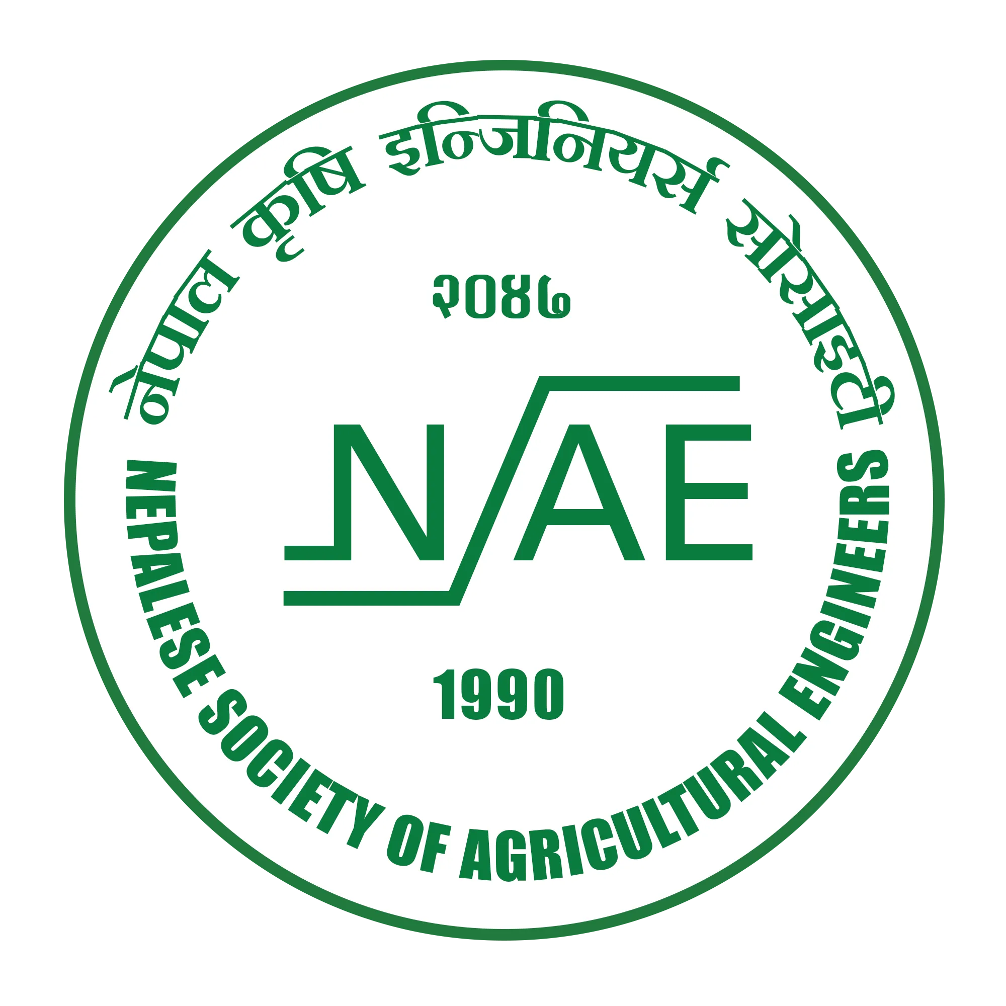 NSAE logo